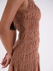 Amy Lynn Brown Julia Polka Dot Shirred Mesh Sleeveless Midaxi Dress - Image 6 of 6