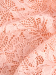 Coral Pink/Green/Cream - 蕾丝前开式无痕内裤3 包装 - 图片10 / 10