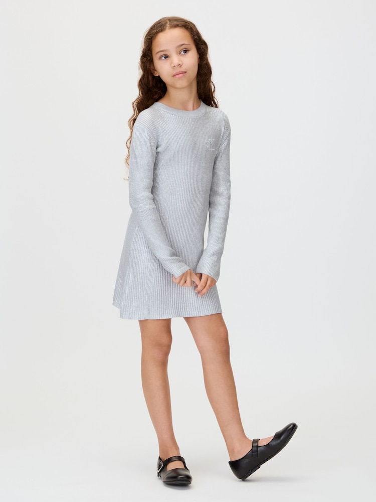 Calvin Klein Silver Coated Dress - Image 1 of 6 Calvin Klein Silver Coated Dress - Image 1 of 6