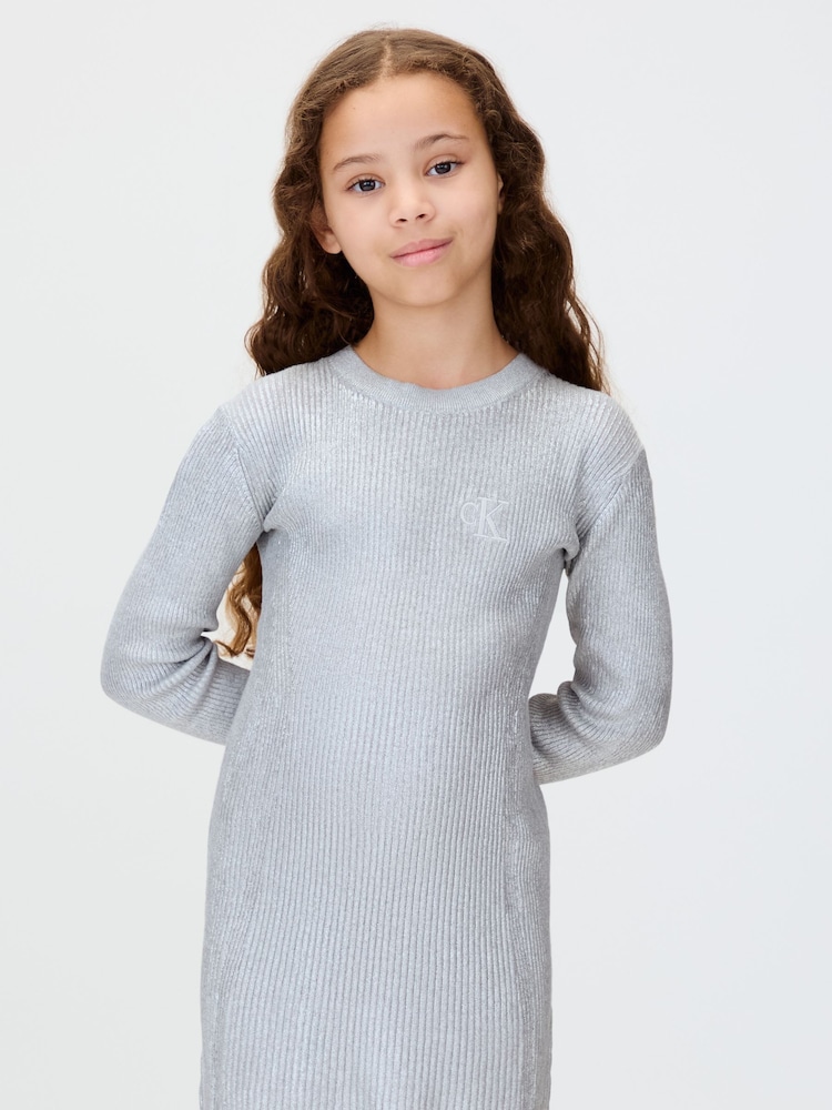 silver calvin klein dress Calvin Klein silver dress