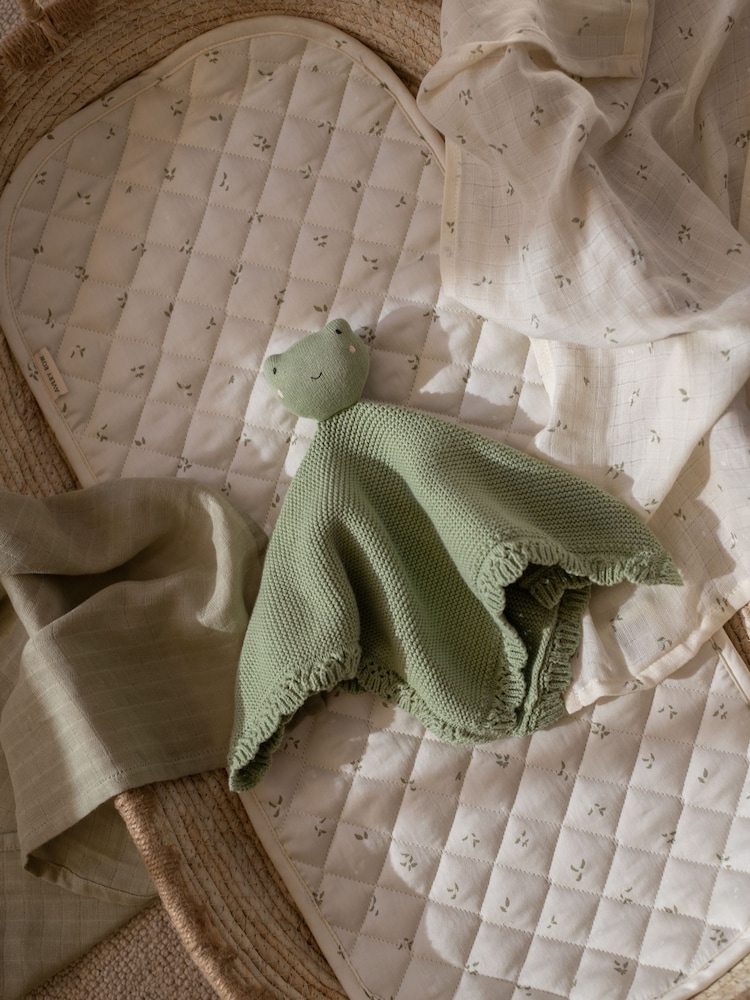 Avery Row Frog Cuddle Cloth - Image 1 of 4