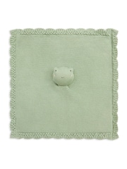 Avery Row Frog Cuddle Cloth - Image 4 of 4