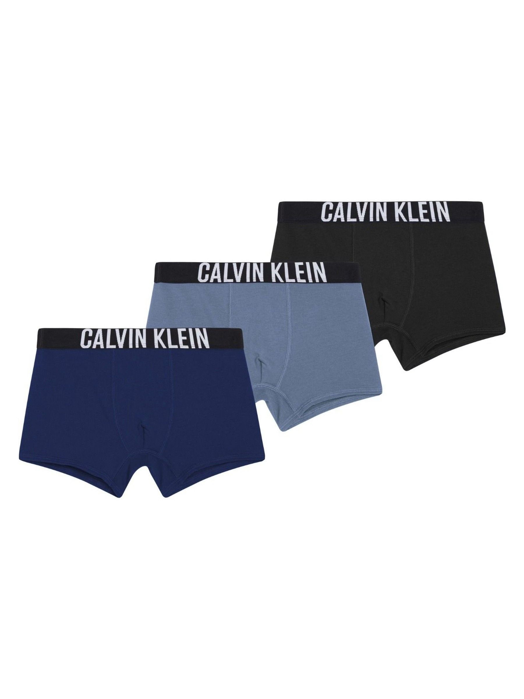 Next：日本 ブルー - Calvin Klein Intense Power ボクサーブリーフ 3