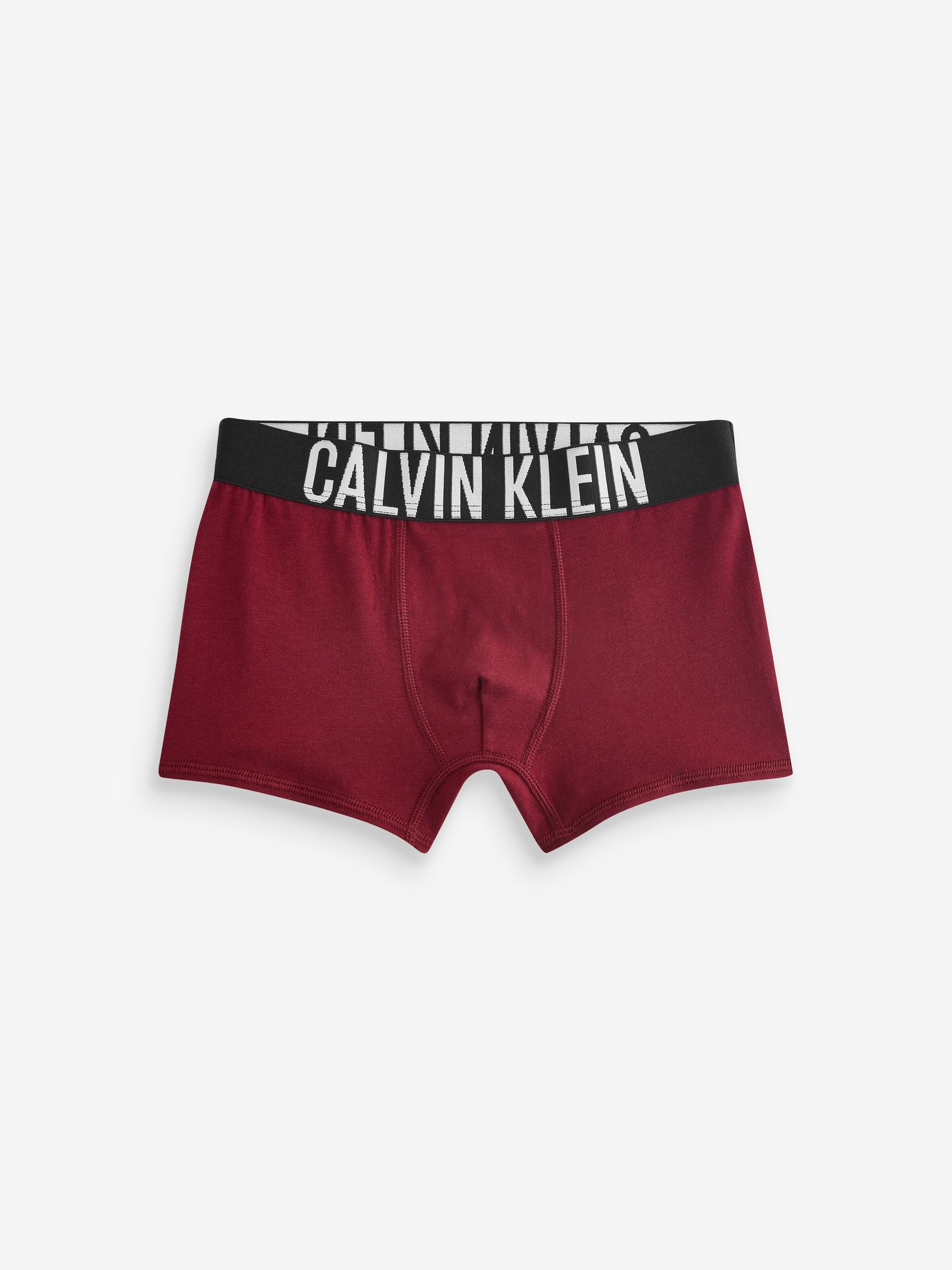 Next：日本 グリーン - Calvin Klein Intense Power ボクサーブリーフ