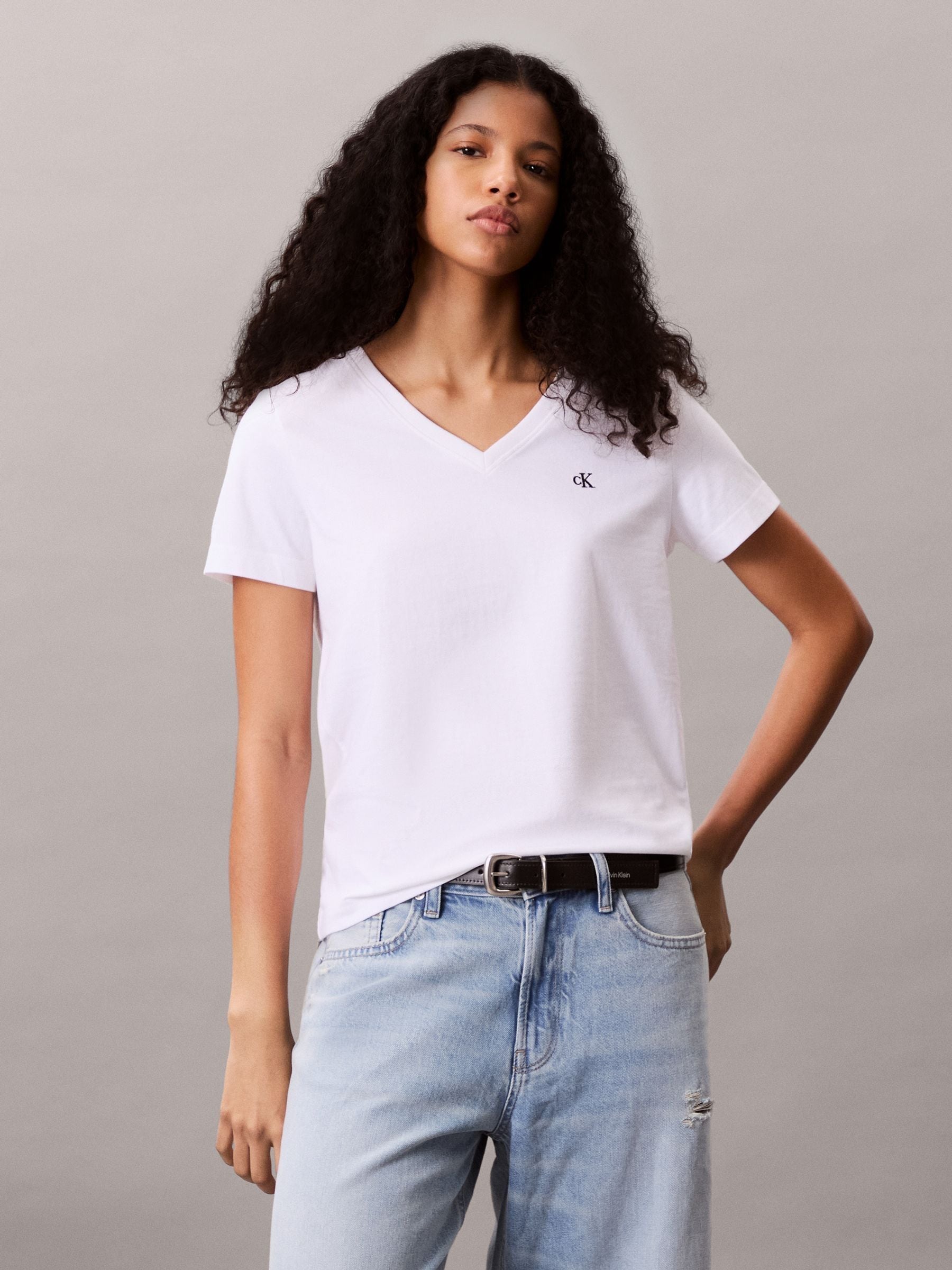 Buy Calvin Klein White Archive V-Neck T-Shirt from Next USA