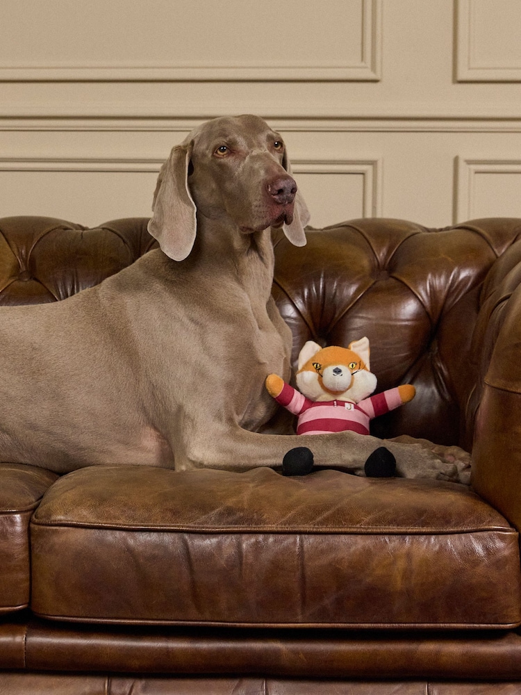 Joules Rugby Jonty Fox Rugby Pet Toy - Image 1 of 6