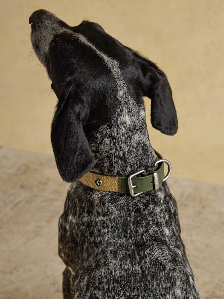 Joules Khaki Green Pet Collar - Image 1 of 6 Joules Khaki Green Pet Collar - Image 1 of 6