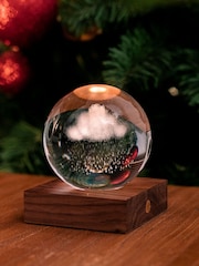 Gingko Walnut Amber Crystal Light with 3D Laser Rain Cloud - Image 3 of 5