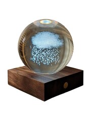 Gingko Walnut Amber Crystal Light with 3D Laser Rain Cloud - Image 5 of 5
