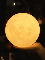 Gingko Walnut Smart Large Luna Spin Lamp - Image 4 of 5