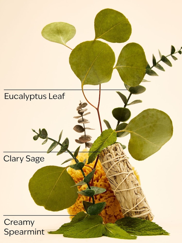 Bath & Body Works Eucalyptus Spearmint Travel Size Ultimate Hydration Body Cream 70g - Image 2 of 2 Bath & Body Works Eucalyptus Spearmint Travel Size Ultimate Hydration Body Cream 70g - Image 2 of 2