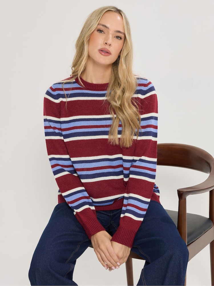 Long Tall Sally Red Striped Jumper - Image 1 of 6