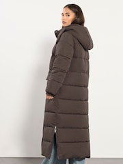 Castanho - PixieGirl Petite Hooded Midi Puffer Coat - Imagem 3 de 5