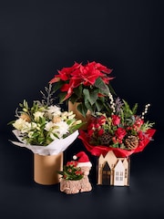 Red Trio of Christmas Plants in Light Up Wooden Box - Image 6 of 6