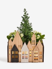 White Trio of Christmas Plants in Light Up Wooden Box - Image 5 of 6