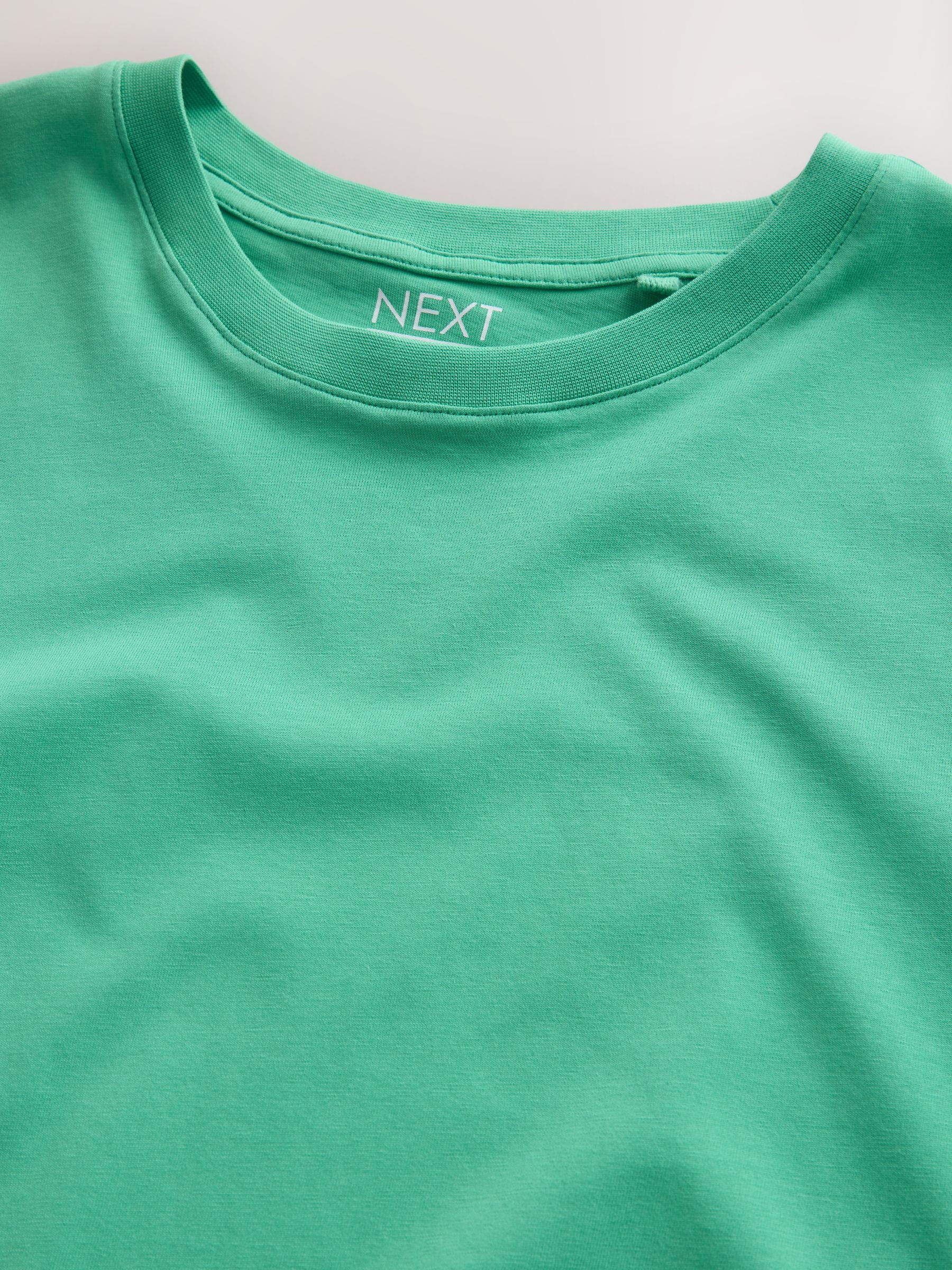 トップス C/R CREW NECK LS T-SHIRT/MINT Buy Green Mint Regular Fit Essential Crew Neck Cotton T-Shirt from