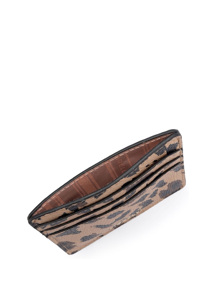 Fiorelli Animal Marnie Card Case Box Set - Image 5 of 5