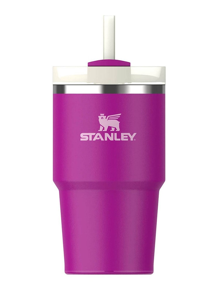 Stanley Violet Blossom Quencher H2.0 Flow State Tumbler 0.6L Water Bottle - Image 1 of 3 Stanley Violet Blossom Quencher H2.0 Flow State Tumbler 0.6L Water Bottle - Image 1 of 3