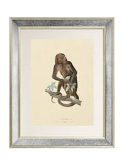 Brookpace Lascelles Cream Mirror Hand Made in UK 'Primate I' Wall Art in Antique Gold Toned Mirrored Frame  40 x 50cm Wall Art - Image 2 of 4