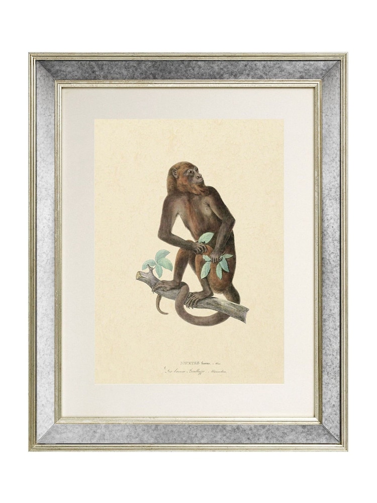 Brookpace Lascelles Cream Mirror Hand Made in UK 'Primate I' Wall Art in Antique Gold Toned Mirrored Frame  40 x 50cm Wall Art - Image 2 of 4