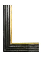 Brookpace Lascelles Multi Black Slim Hand Made in UK'Splendid Parakeet' By Elizabeth Gould in a Frame With Antique Champagne Silver Inner Bezel 40 x 50 - Image 4 of 4