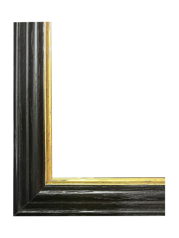 Brookpace Lascelles Multi Black Slim Hand Made in UK'Splendid Parakeet' By Elizabeth Gould in a Frame With Antique Champagne Silver Inner Bezel 40 x 50 - Image 4 of 4