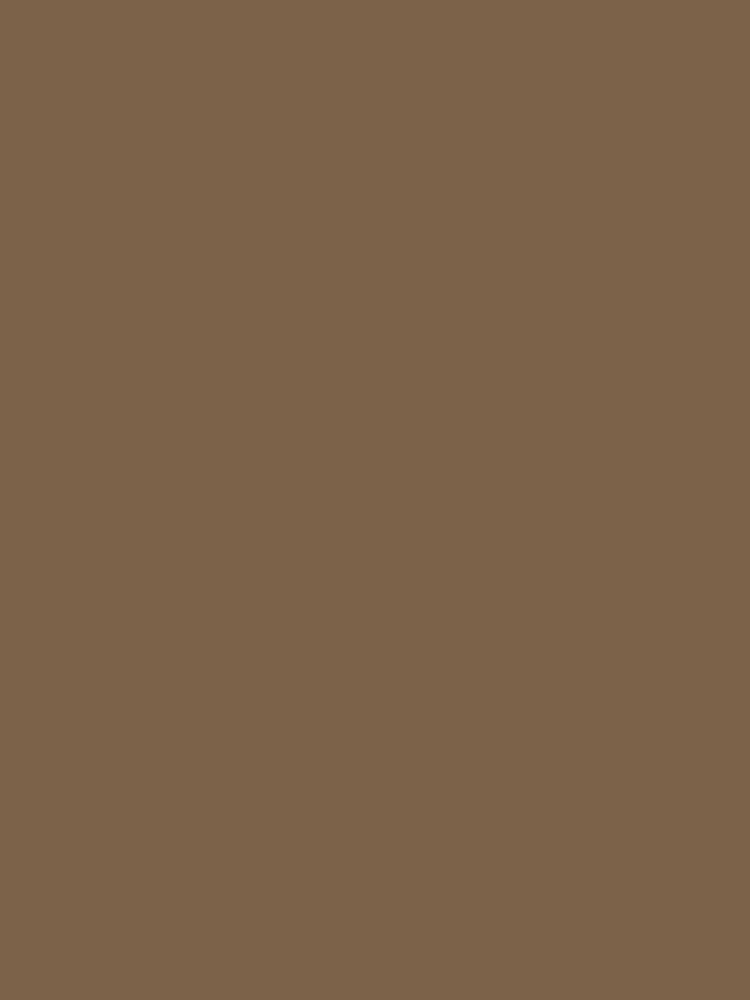 Abigail Ahern Summer Earth Peel & Stick A5 Paint Sample - Image 2 of 7