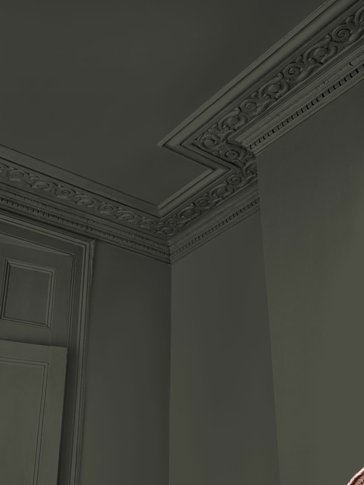 Abigail Ahern Sea Botanic 2.5 Litre Emulsion Paint - Image 2 of 7