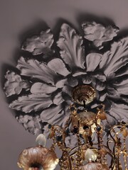 Abigail Ahern Sequoia Tree 1 Litre Interior Eggshell Paint - Image 6 of 7