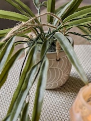 Abigail Ahern Green Artificial Rhipsalis Plant - Image 3 of 4
