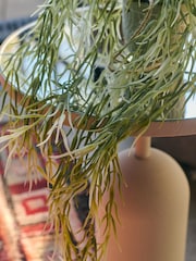 Abigail Ahern Green Artificial Trailing Horsetail Plant - Image 2 of 4