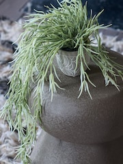 Abigail Ahern Green Artificial Trailing Horsetail Plant - Image 3 of 4