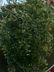 Abigail Ahern Green Artificial Milkweed Plant - Image 2 of 4