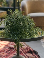 Abigail Ahern Green Artificial Milkweed Plant - Image 3 of 4