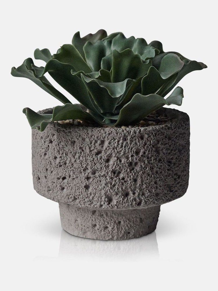 Abigail Ahern Green Artificial Kalanchoe Plant - Image 4 of 4