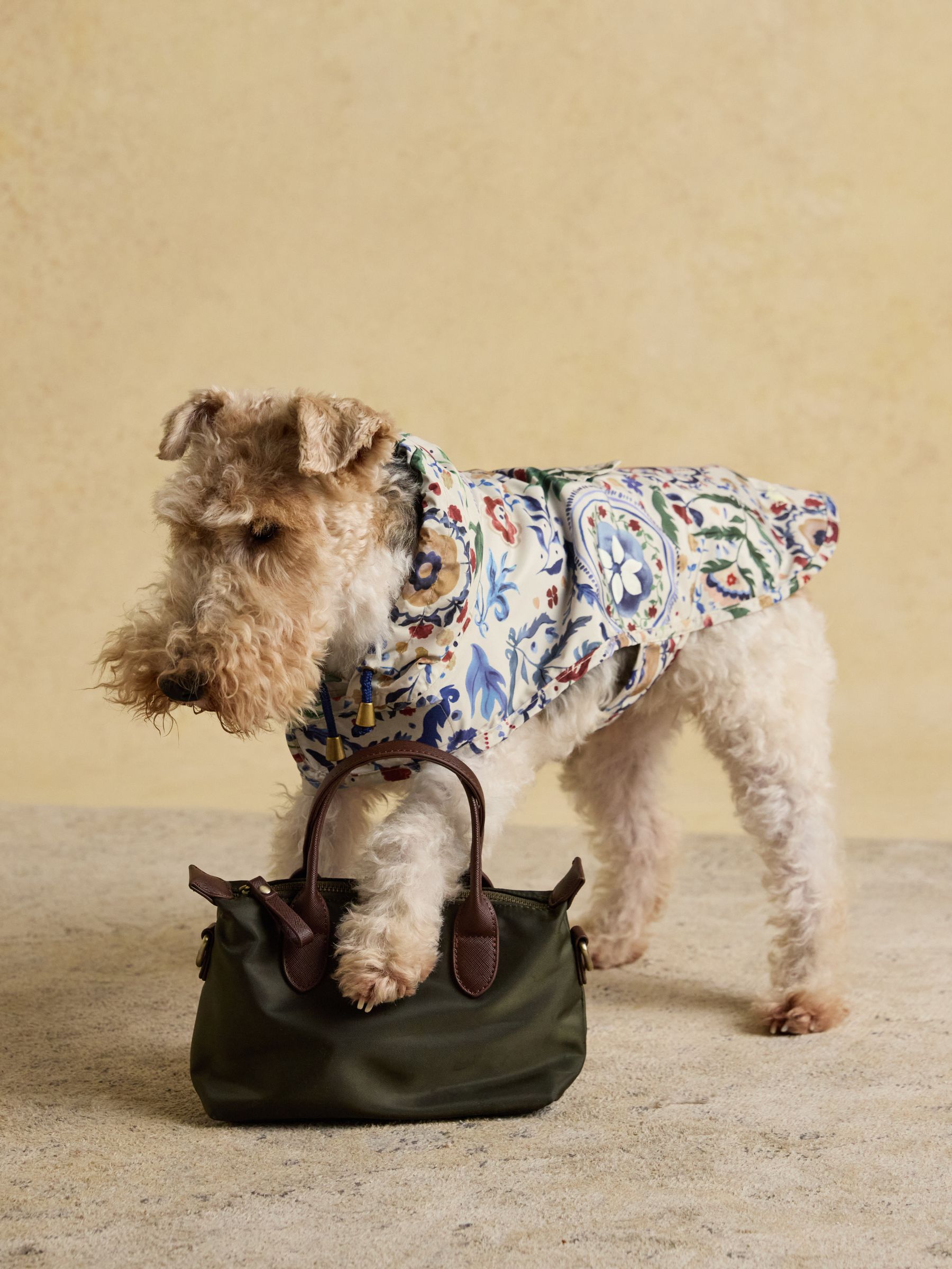 Buy Joules Festival Floral Packaway Dog Coat from Next USA