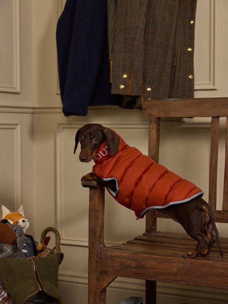 Joules Burnt Orange and Chocolate Reversible Dog Puffer Jacket - Image 1 of 11