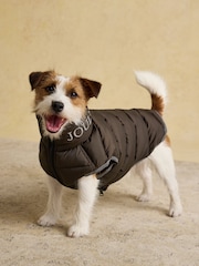 Joules Burnt Orange and Chocolate Reversible Dog Puffer Jacket - Image 3 of 11