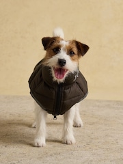 Joules Burnt Orange and Chocolate Reversible Dog Puffer Jacket - Image 4 of 11