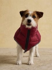 Joules Navy and Burgundy Reversible Dog Puffer Jacket - Image 5 of 8