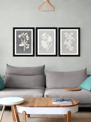 East End Prints Black Botanical Illustration Triptych Wall Art Prints by Cartissi - Image 1 of 2