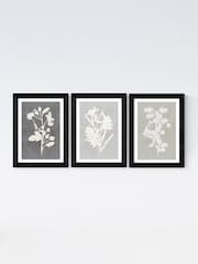 East End Prints Black Botanical Illustration Triptych Wall Art Prints by Cartissi - Image 2 of 2