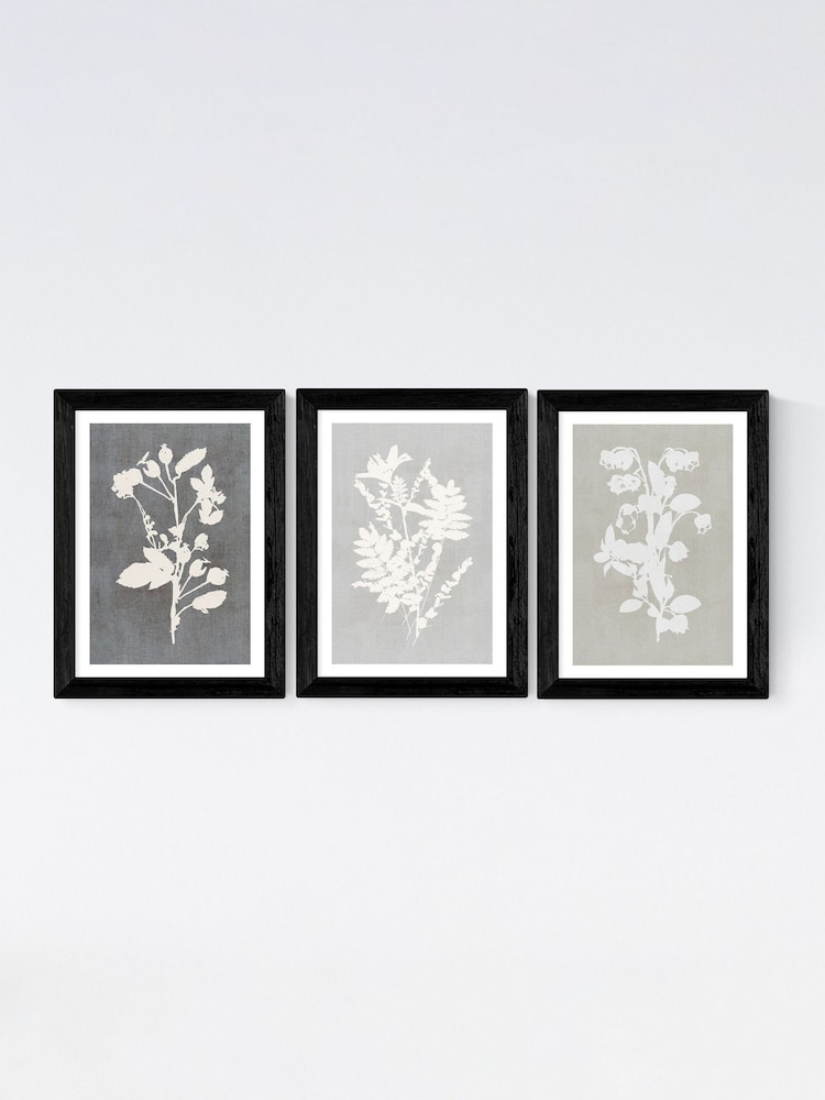 East End Prints Black Botanical Illustration Triptych Wall Art Prints by Cartissi - Image 2 of 2