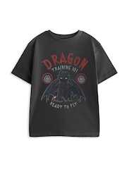Vanilla Underground Grey How To Train Your Dragon Training 101 Short Sleeved T-Shirt - Image 1 of 6