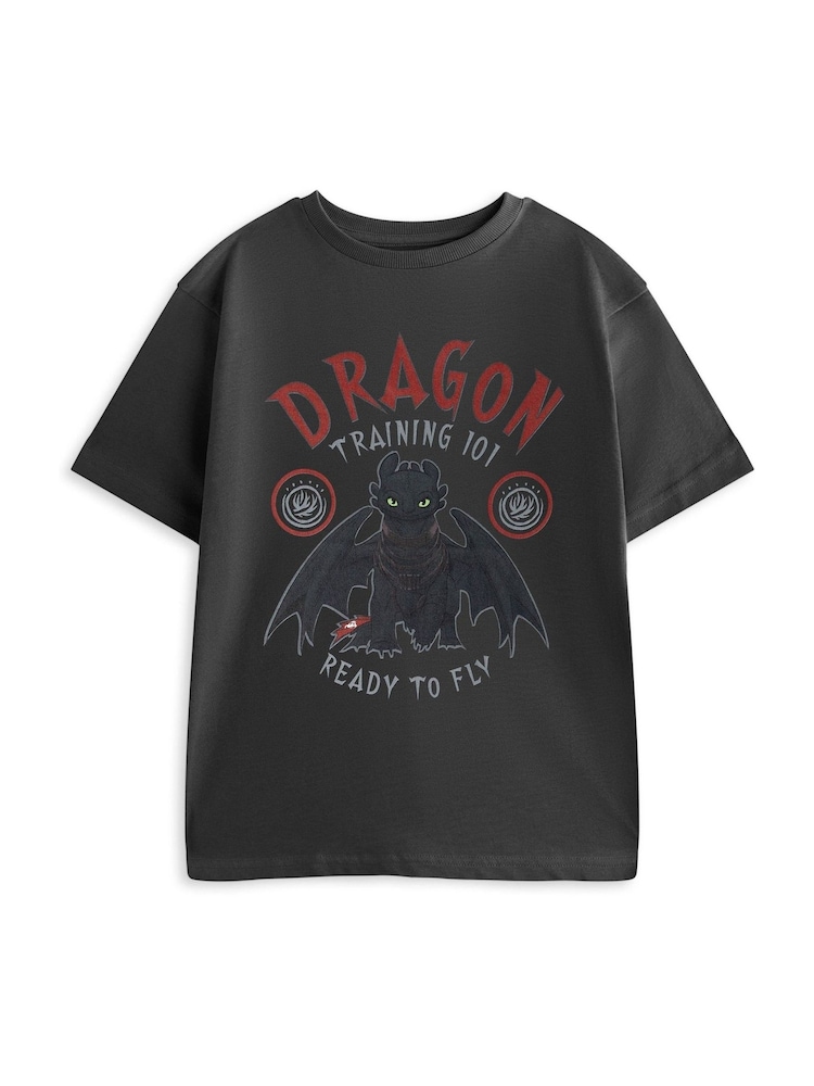 Vanilla Underground Grey How To Train Your Dragon Training 101 Short Sleeved T-Shirt - Image 1 of 6