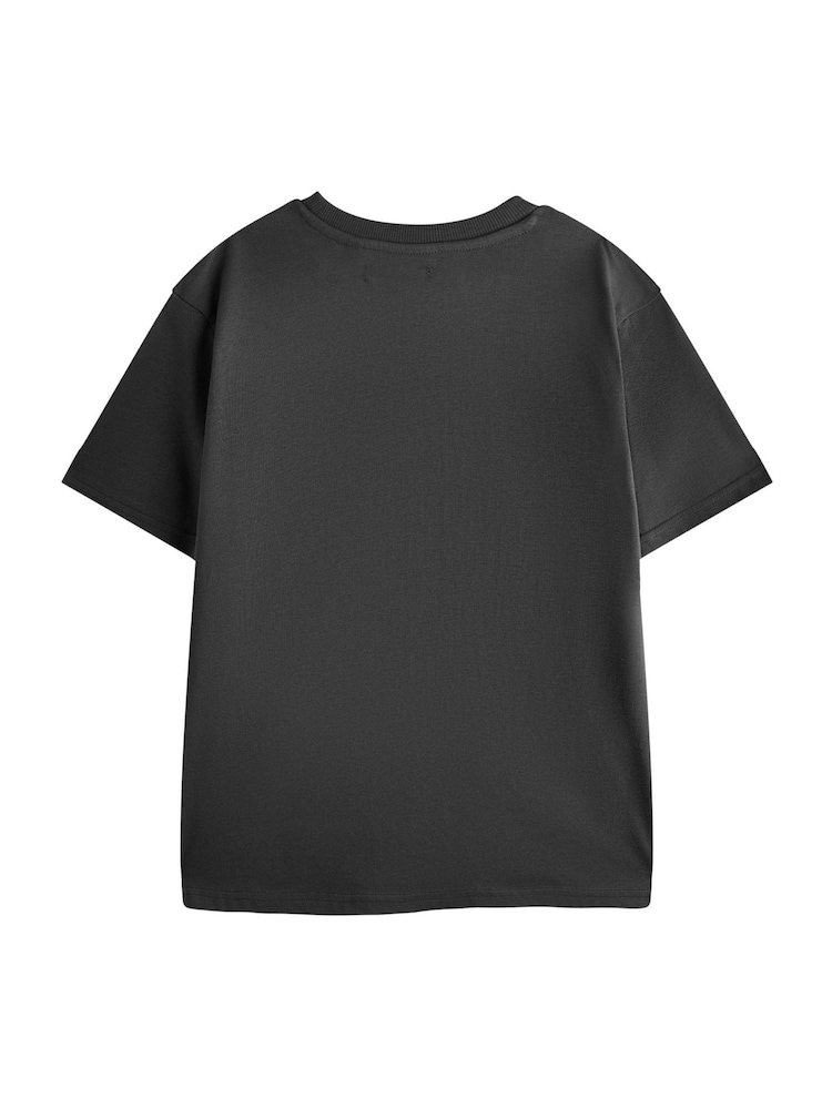 Vanilla Underground Grey How To Train Your Dragon Training 101 Short Sleeved T-Shirt - Image 2 of 6 Vanilla Underground Grey How To Train Your Dragon Training 101 Short Sleeved T-Shirt - Image 2 of 6