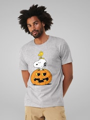 All + Every Grey Peanuts Halloween Snoopy And Woodstock T-Shirt - Image 1 of 4