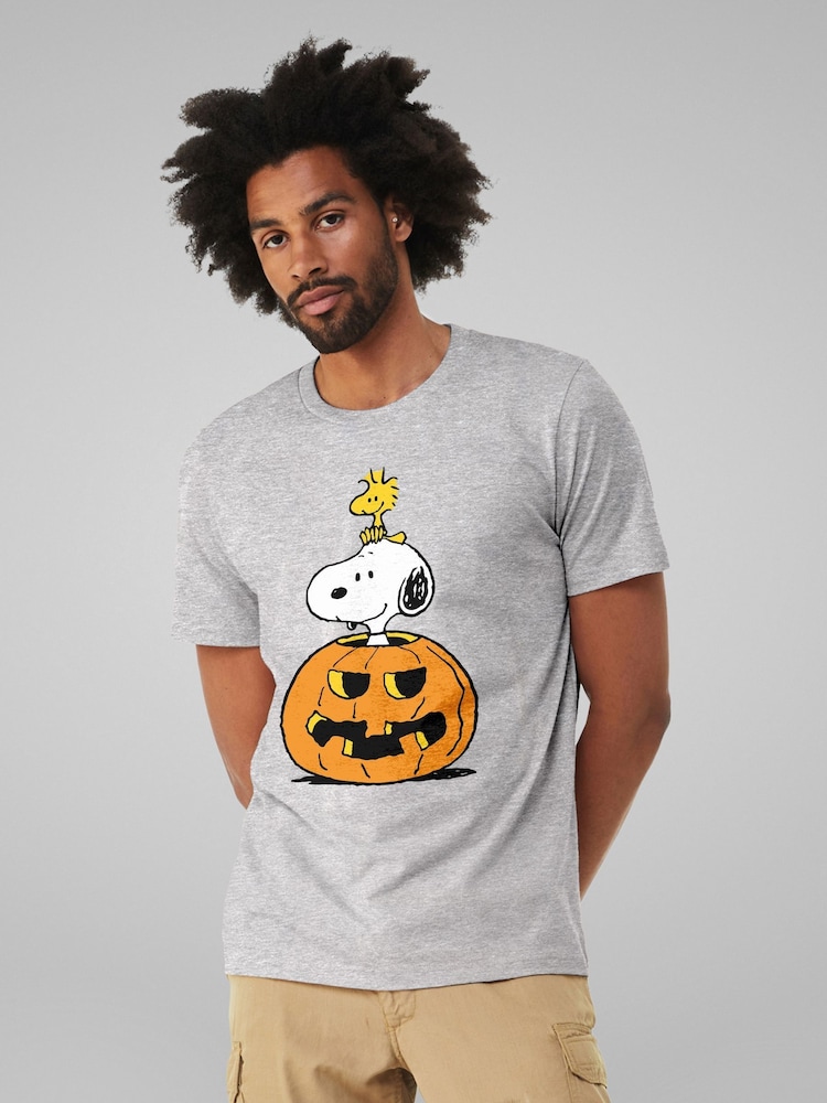 All + Every Grey Peanuts Halloween Snoopy And Woodstock T-Shirt - Image 1 of 4 All + Every Grey Peanuts Halloween Snoopy And Woodstock T-Shirt - Image 1 of 4