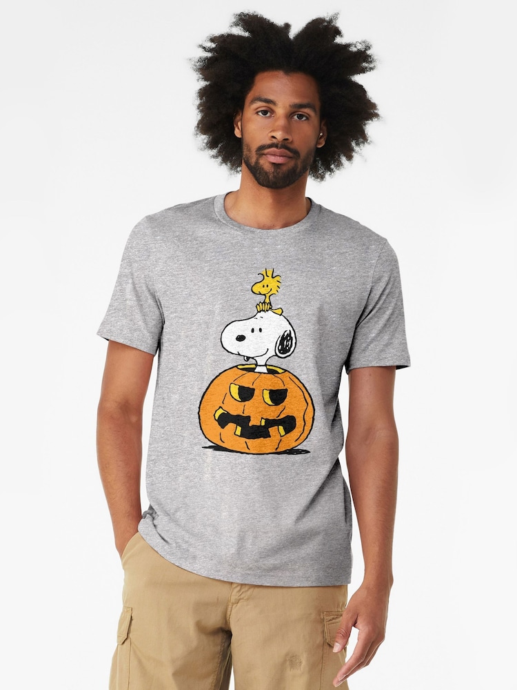 All + Every Grey Peanuts Halloween Snoopy And Woodstock T-Shirt - Image 2 of 4 All + Every Grey Peanuts Halloween Snoopy And Woodstock T-Shirt - Image 2 of 4