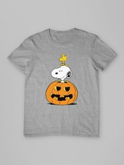 All + Every Grey Peanuts Halloween Snoopy And Woodstock T-Shirt - Image 3 of 4